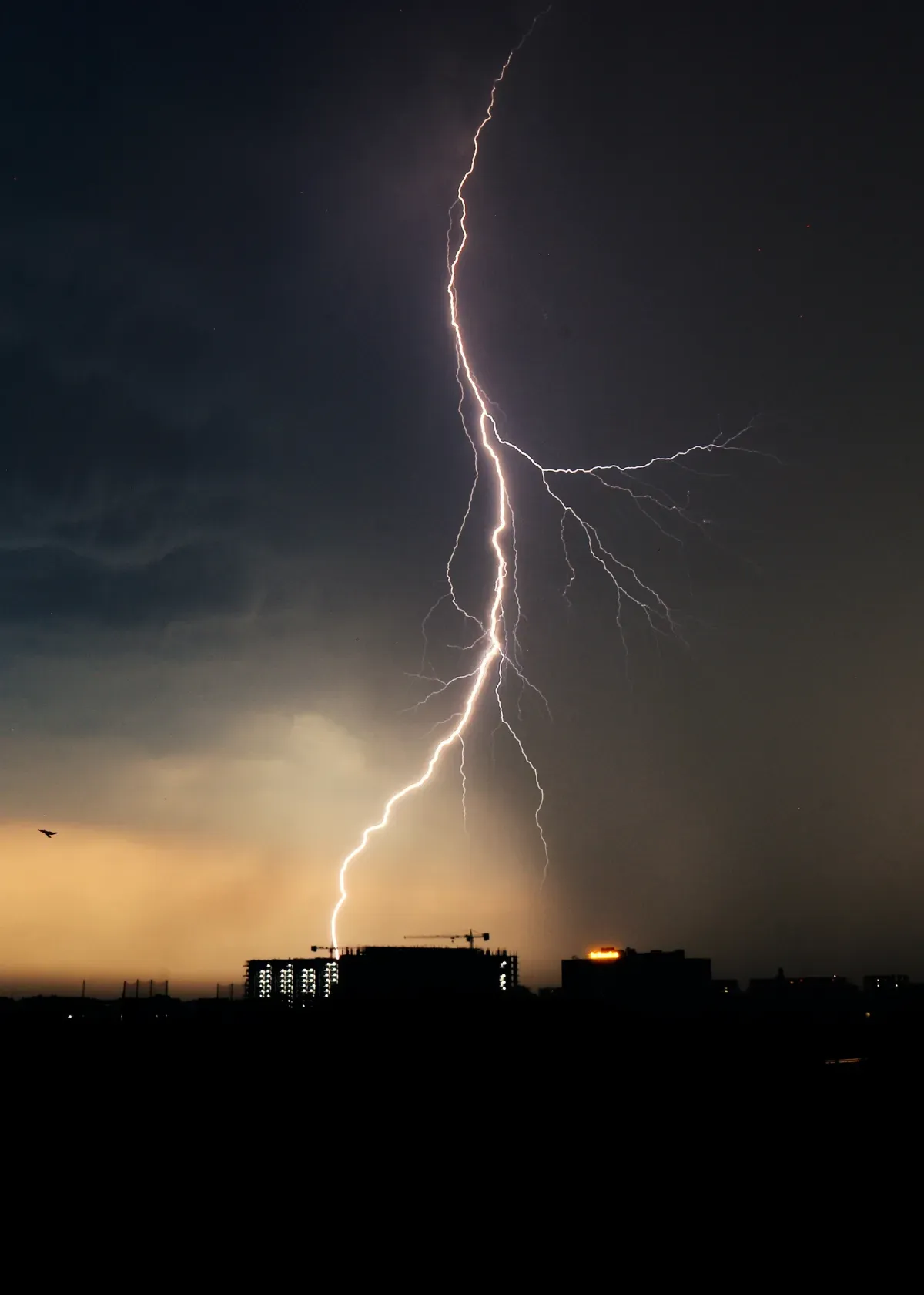 Top 5 Surge Protectors for Washing Machine Product Review