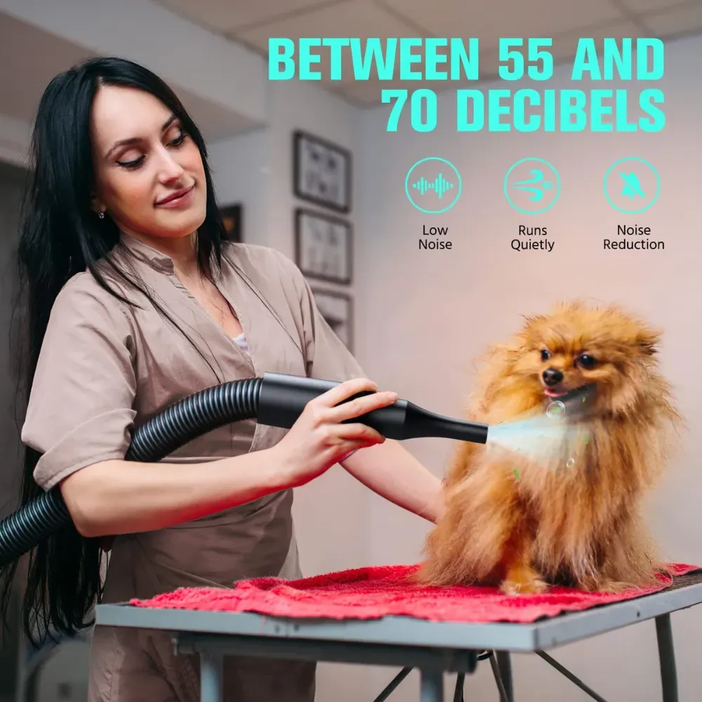 best dog hair dryer