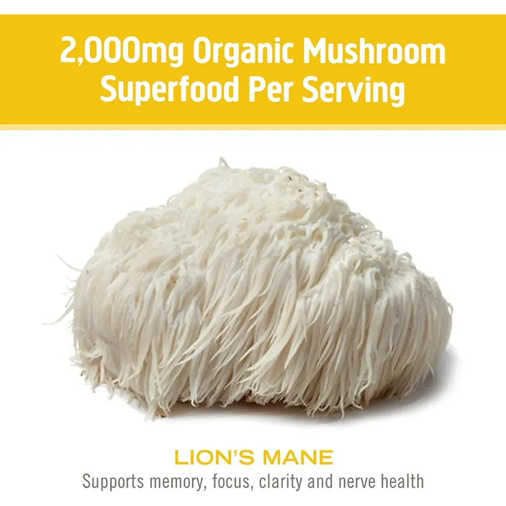 best lion's mane supplement