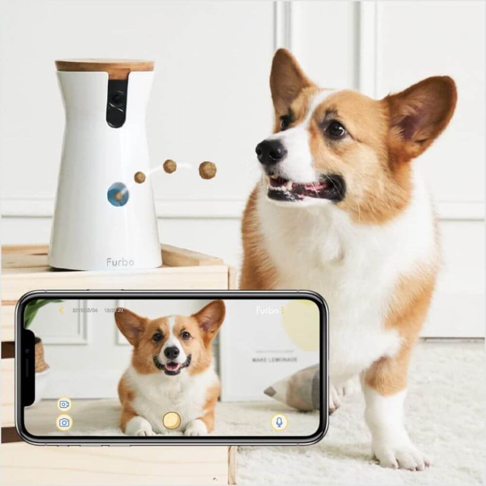 Dog Treat Dispenser