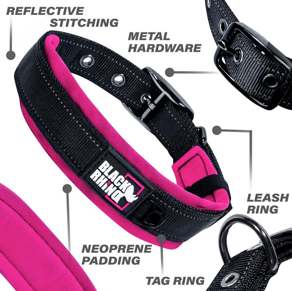 heavy duty dog collars