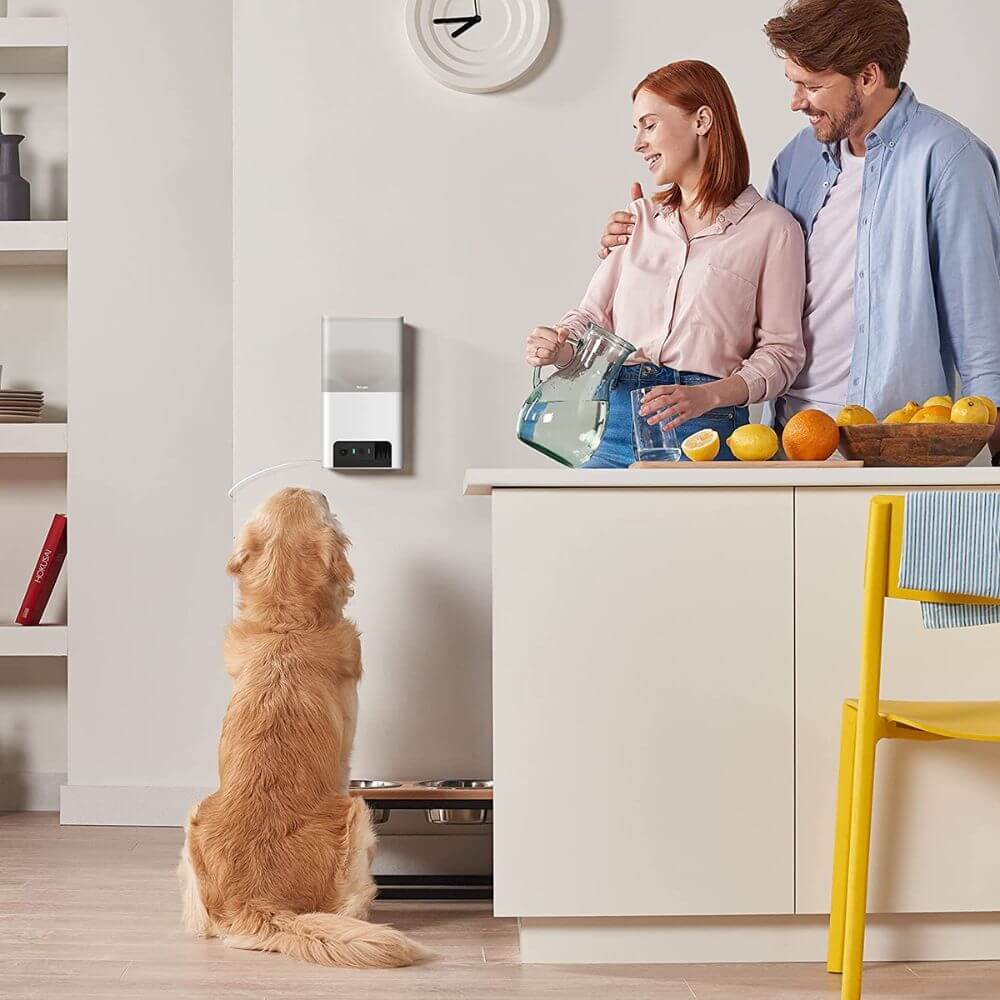 Dog Treat Dispenser