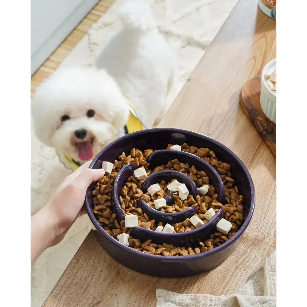 dog puzzle feeder