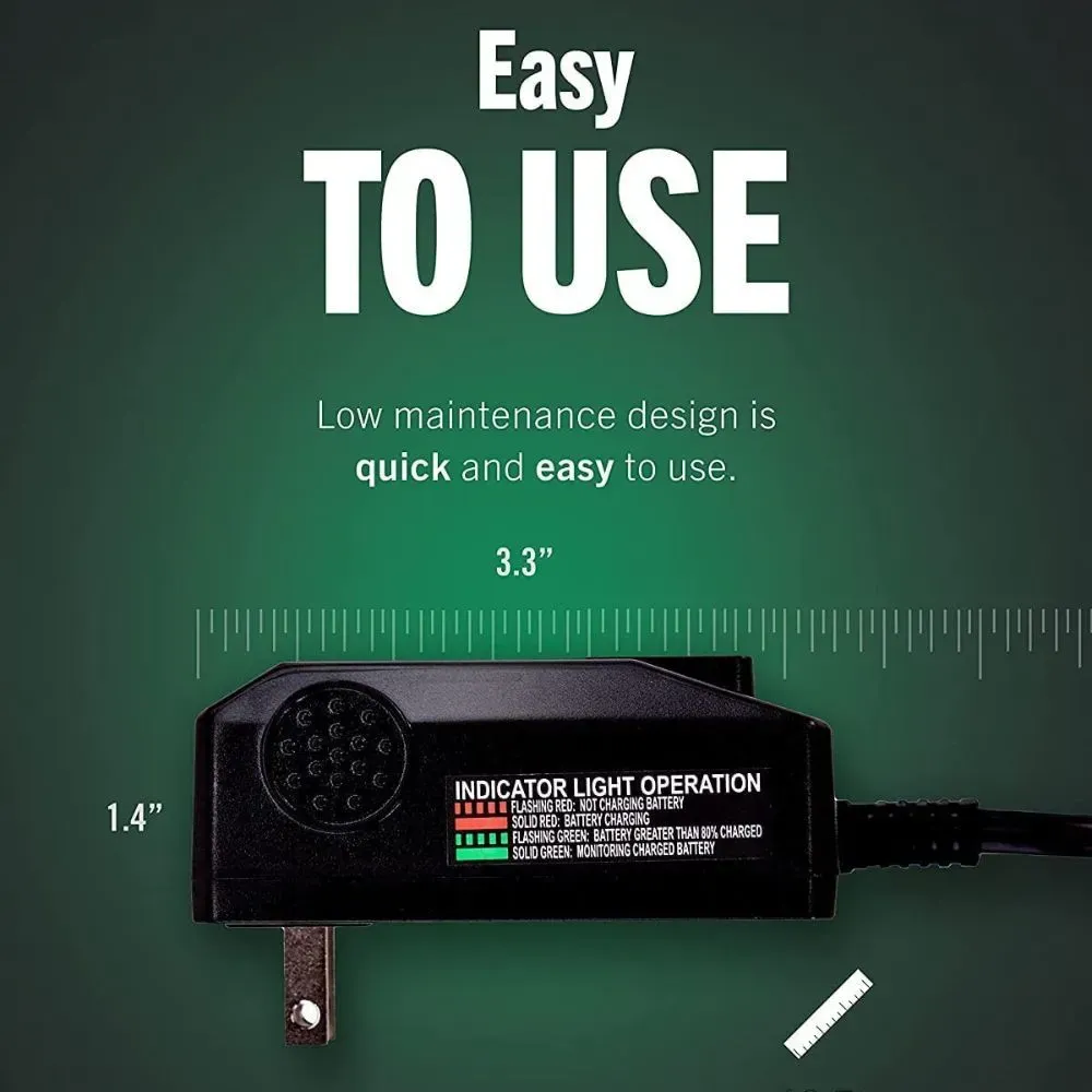 ATV Battery Charger