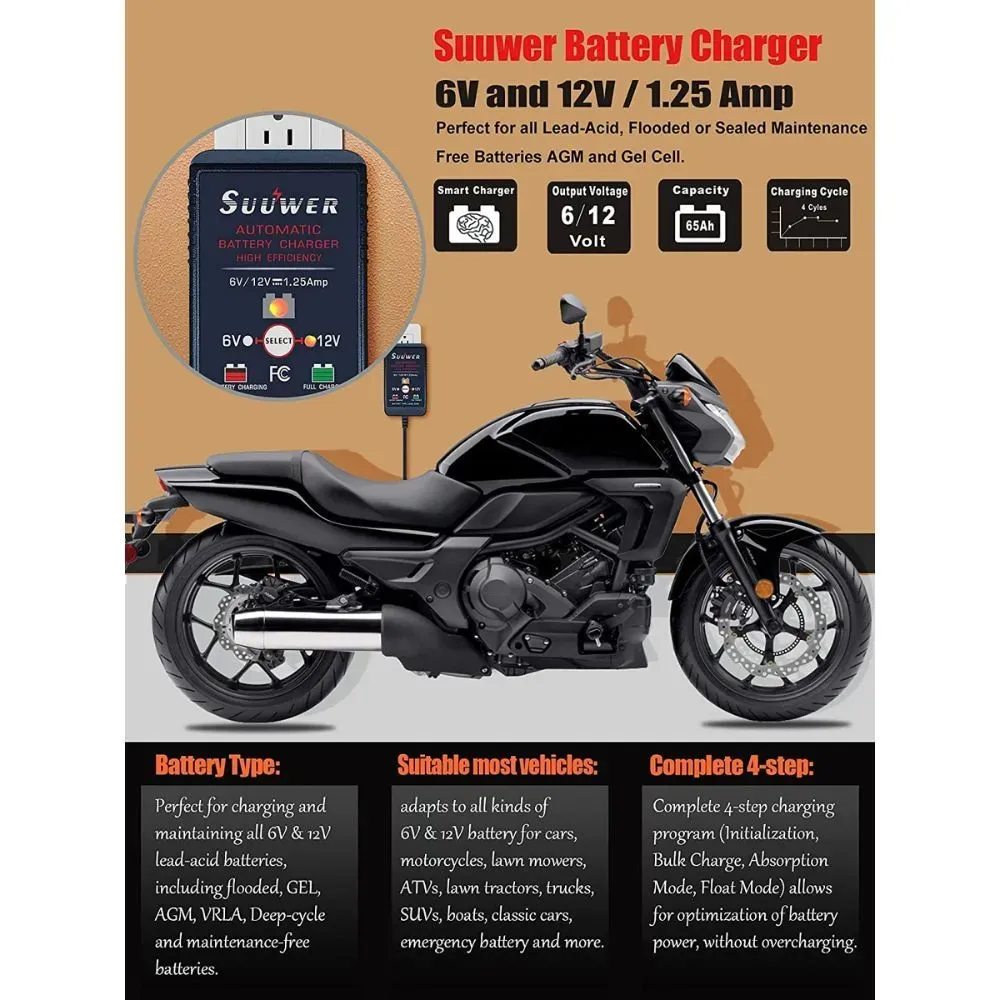 ATV Battery Charger