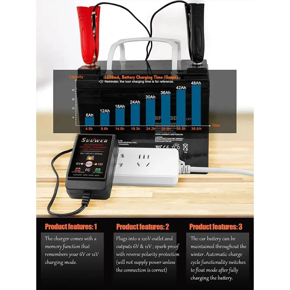 ATV Battery Charger