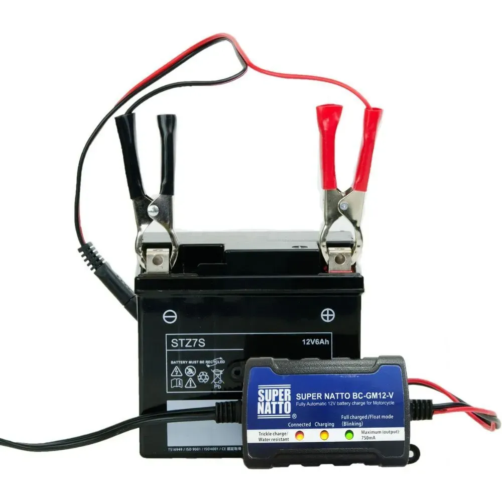 ATV Battery Charger