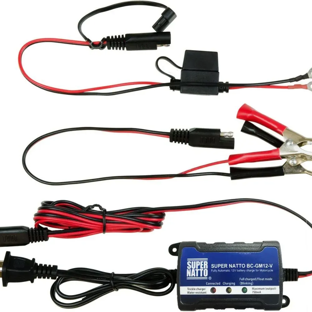 ATV Battery Charger