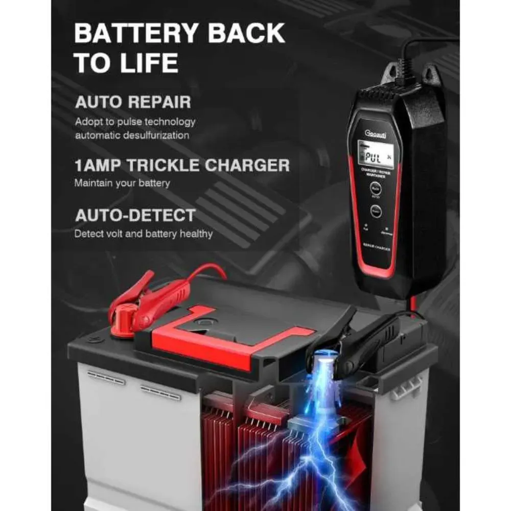 ATV Battery Charger