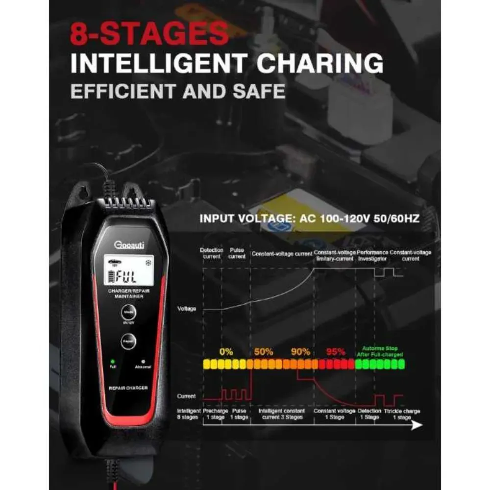 ATV Battery Charger