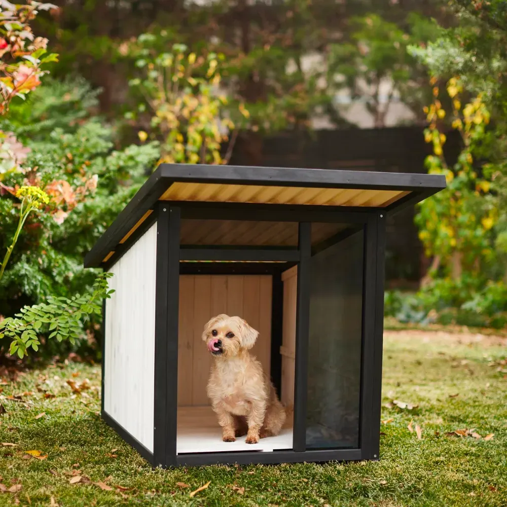 Modern Dog House