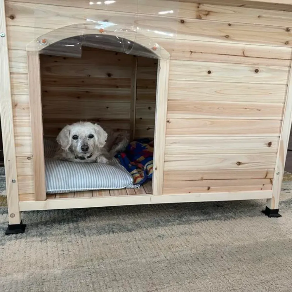 Modern Dog House