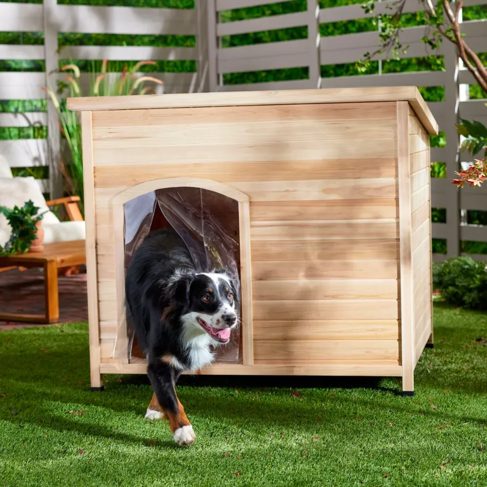 Modern Dog House