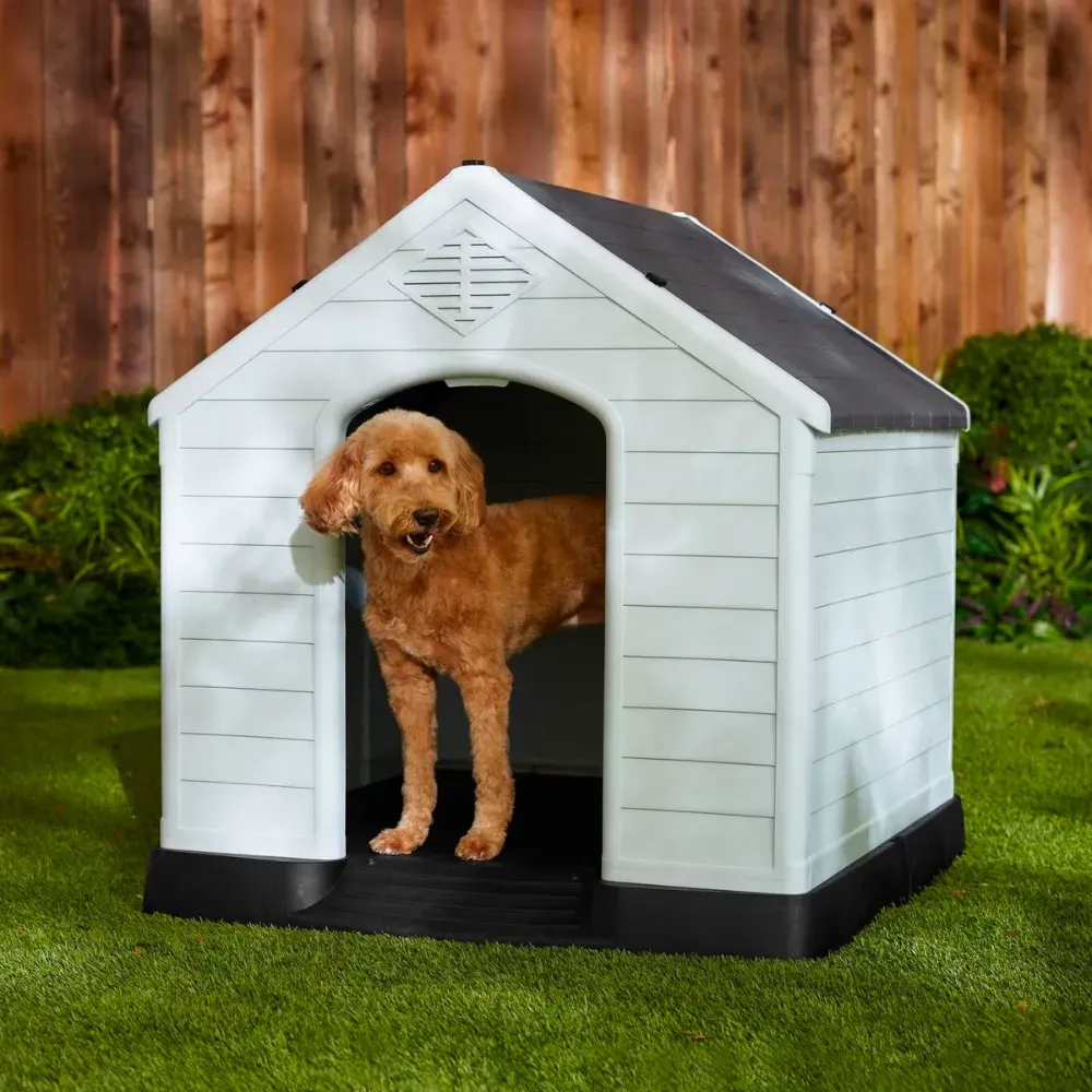 Modern Dog House