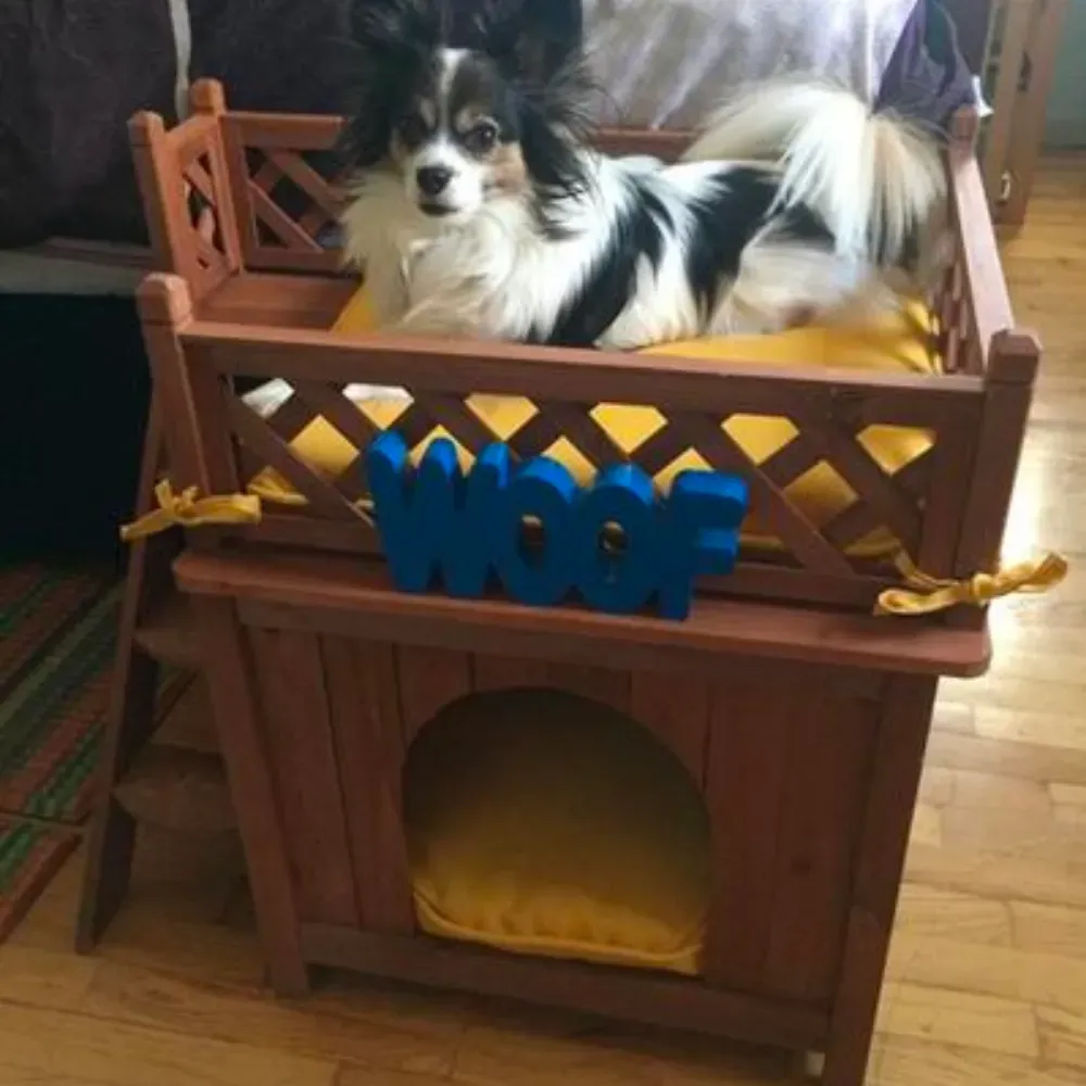 Modern Dog House