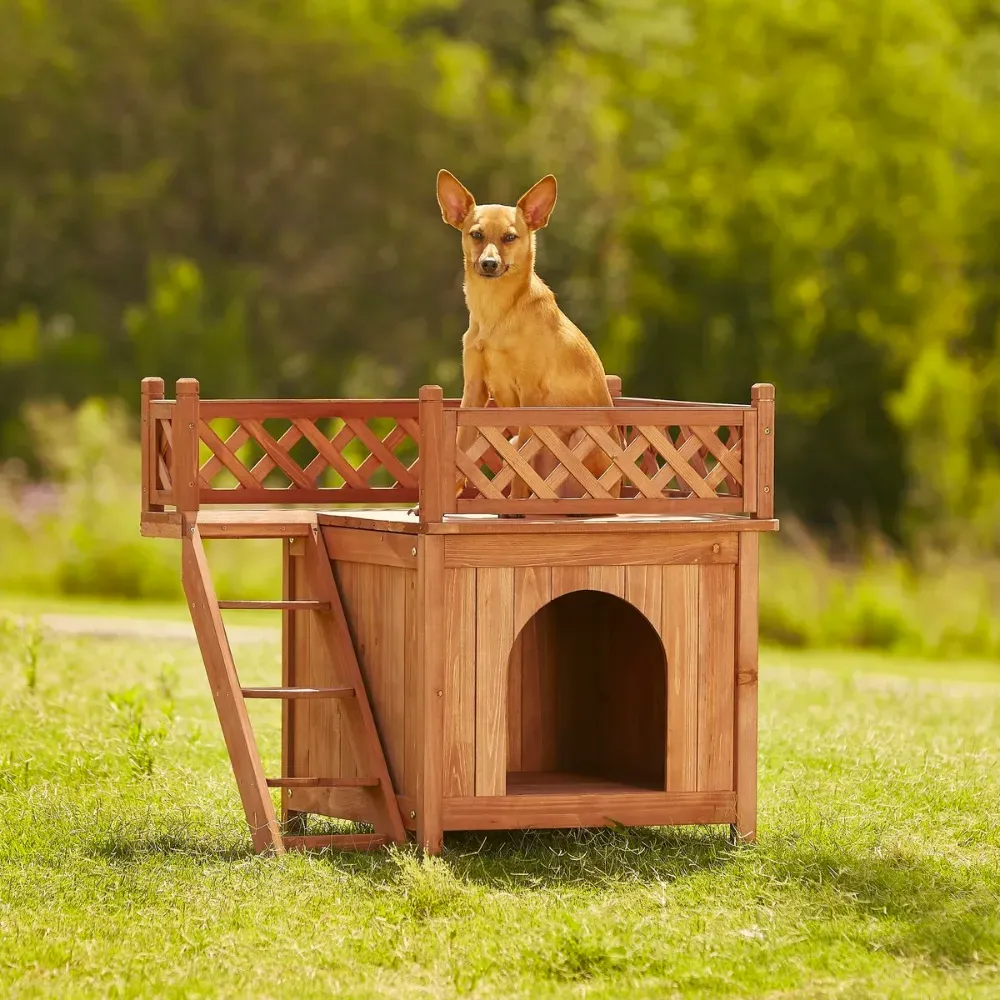 Modern Dog House