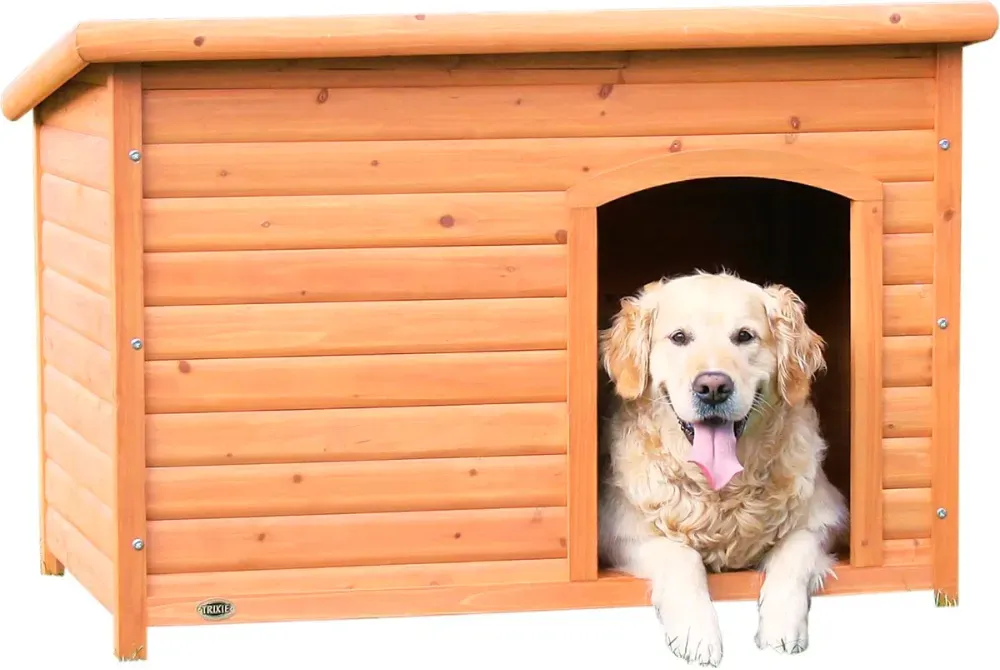 Modern Dog House