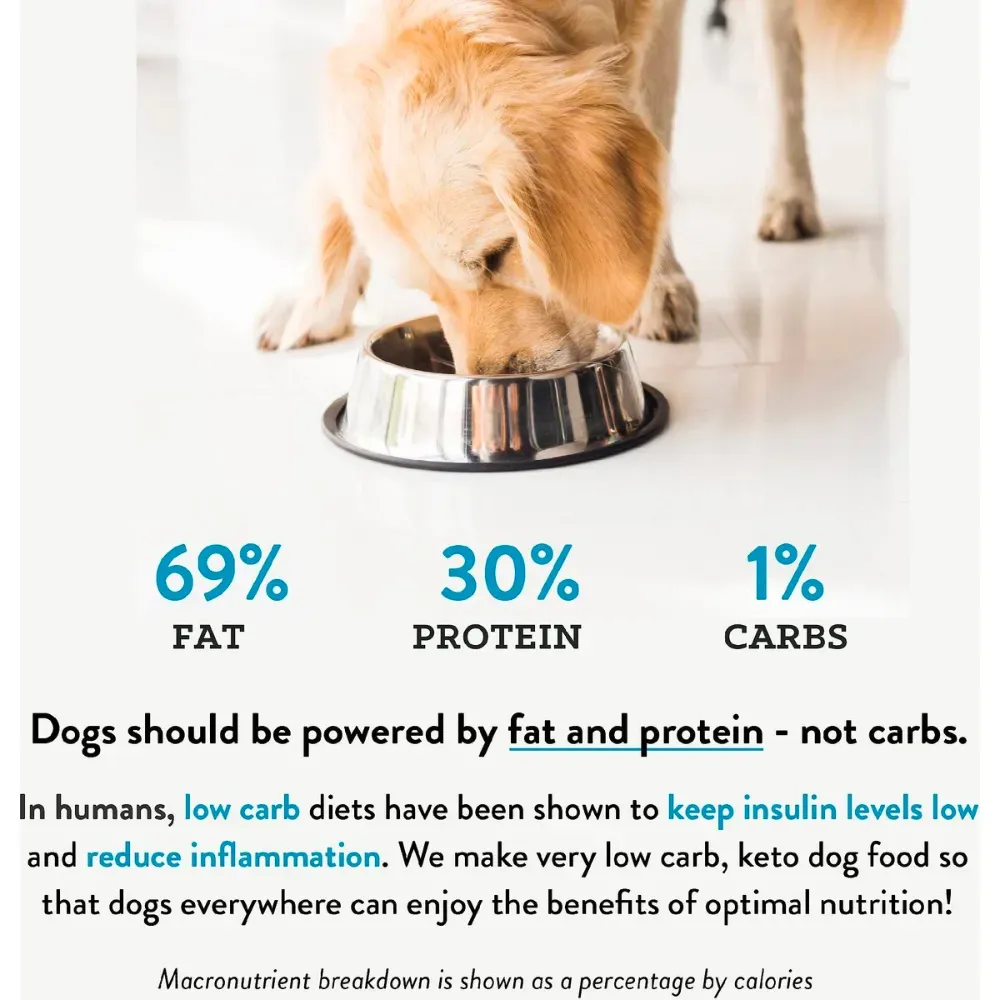 low carb dog food