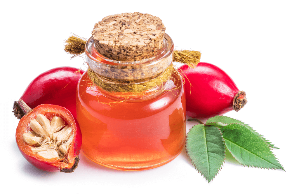 rosehip oil for hair