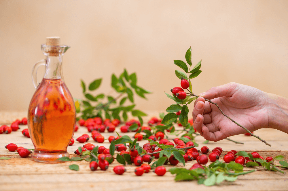 rosehip oil for hair