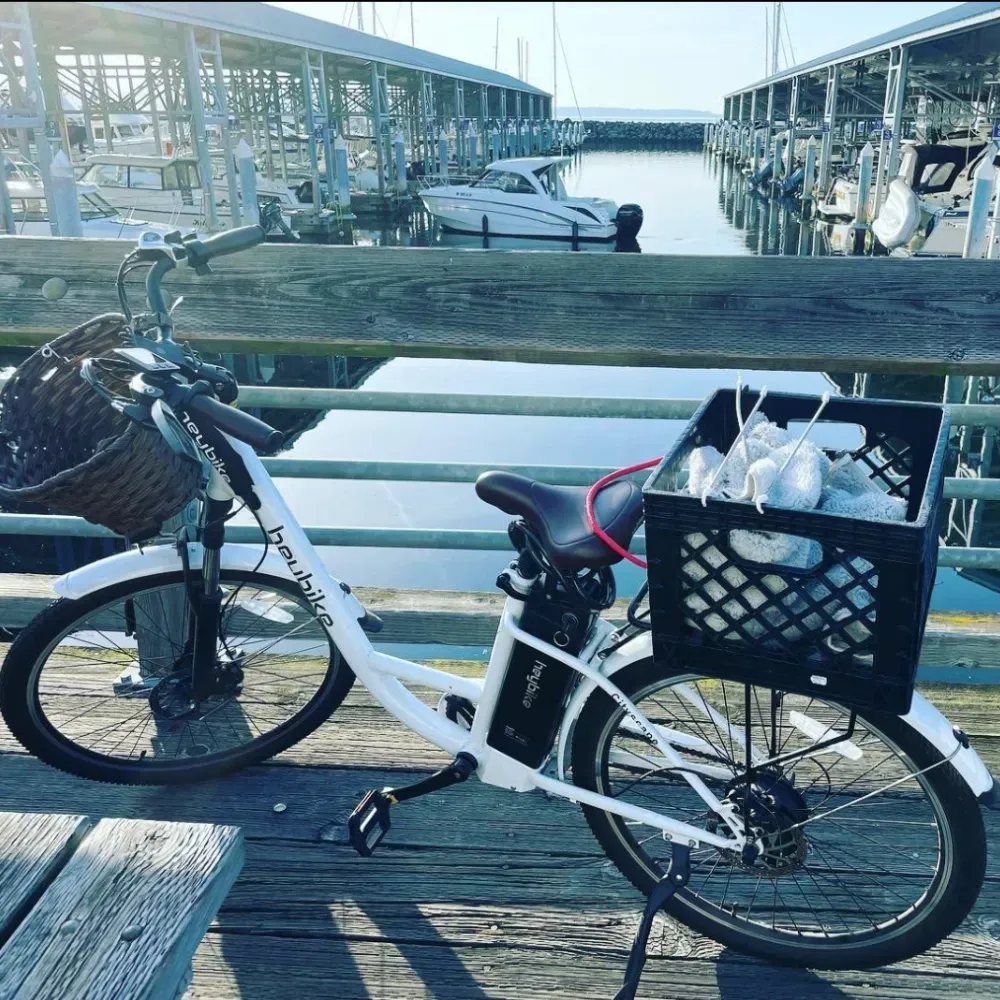 best electric bike for seniors