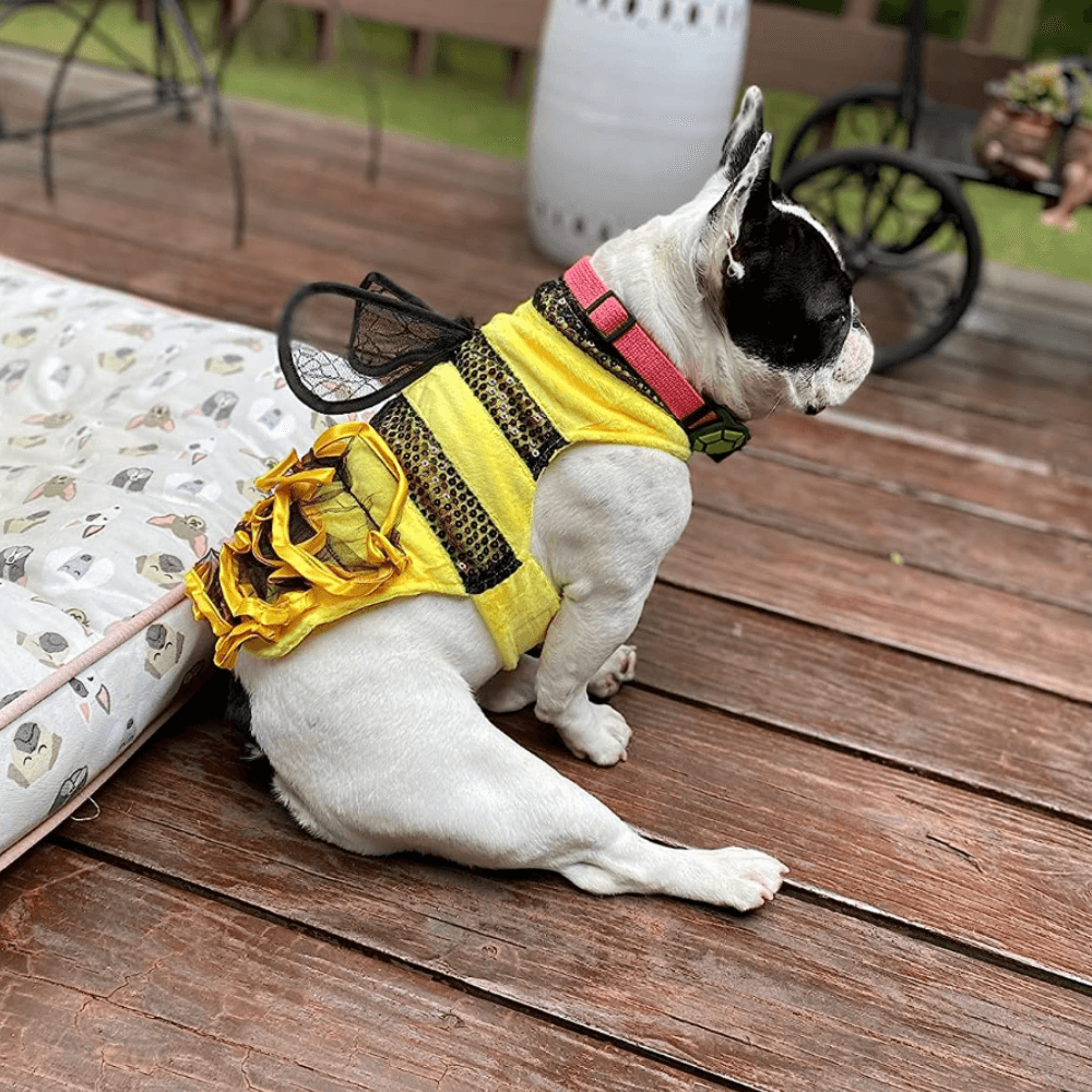 Bumble Bee Dog Costume