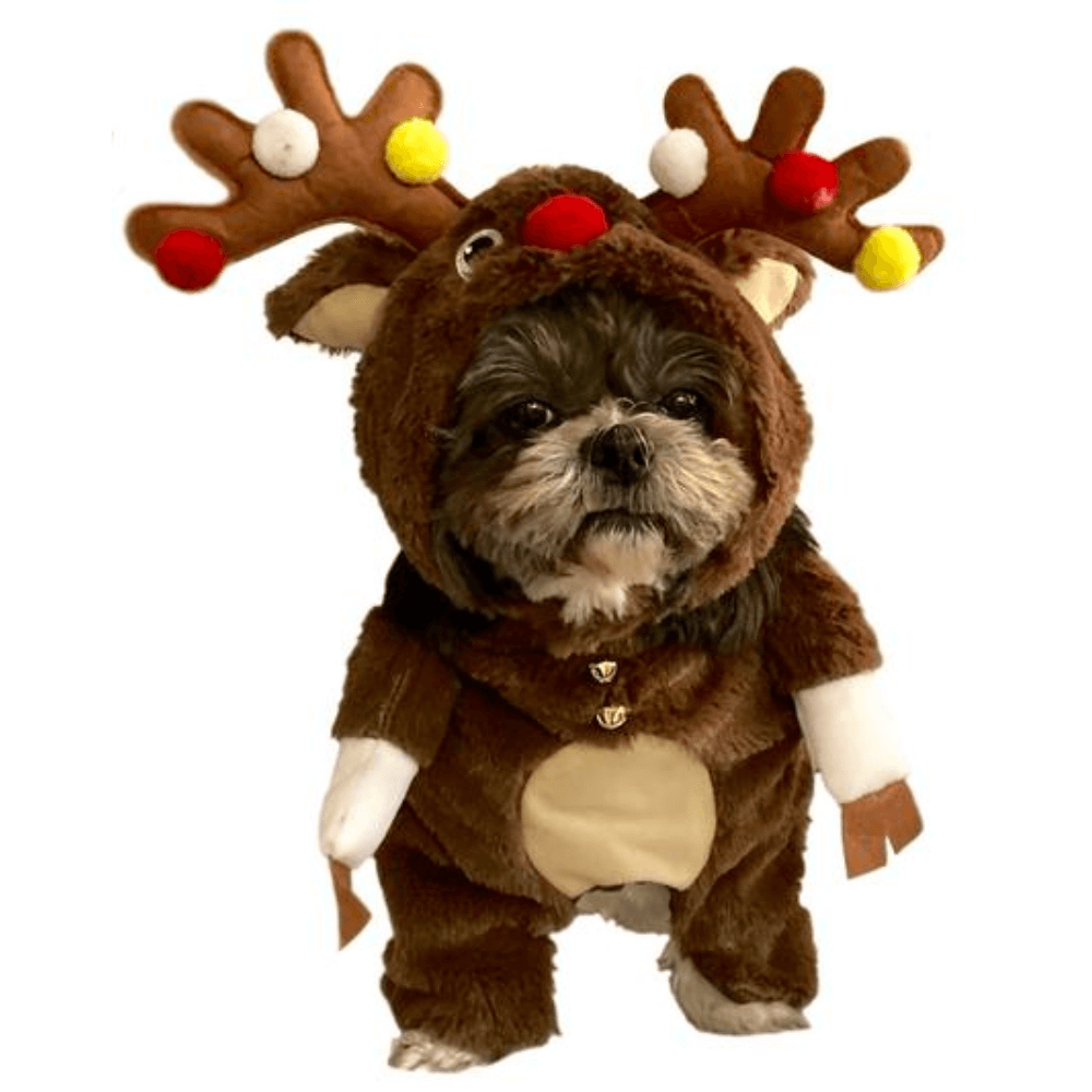 Dog Reindeer Costume