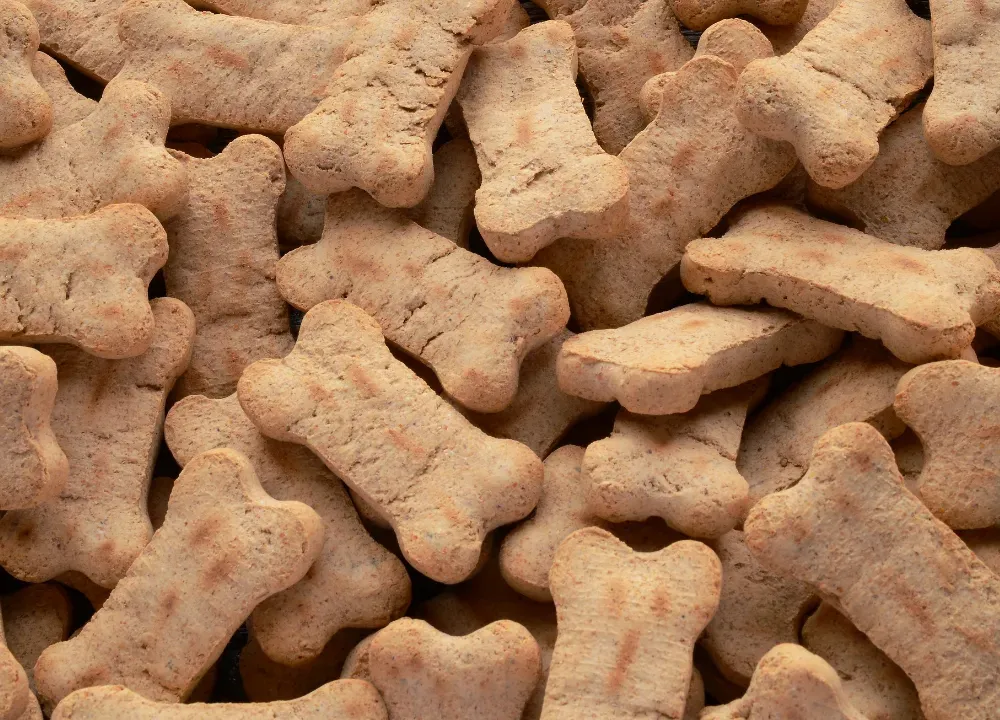 diabetic dog treats