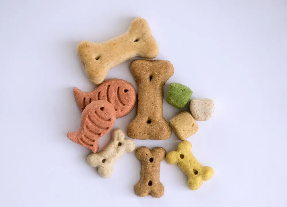 diabetic dog treats