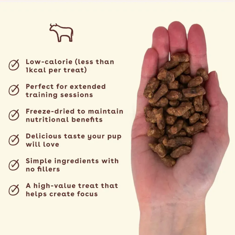 diabetic dog treats