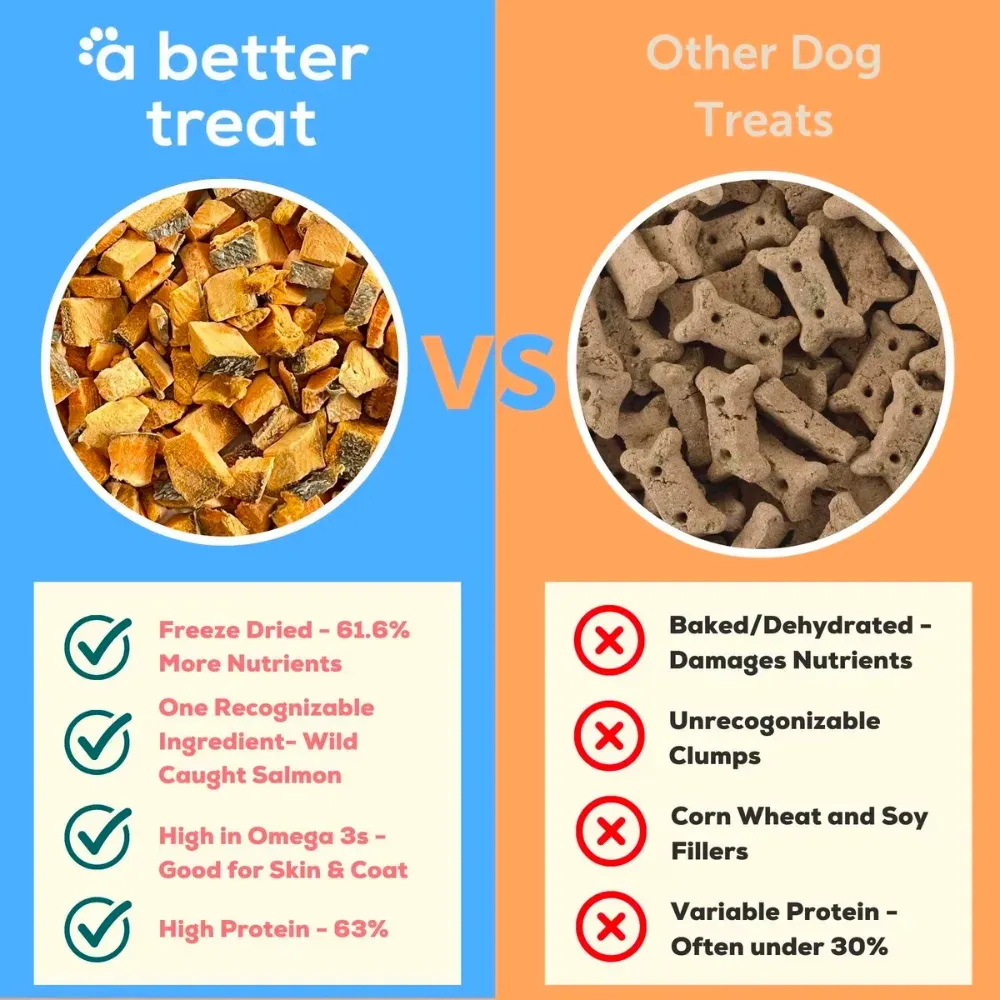 diabetic dog treats