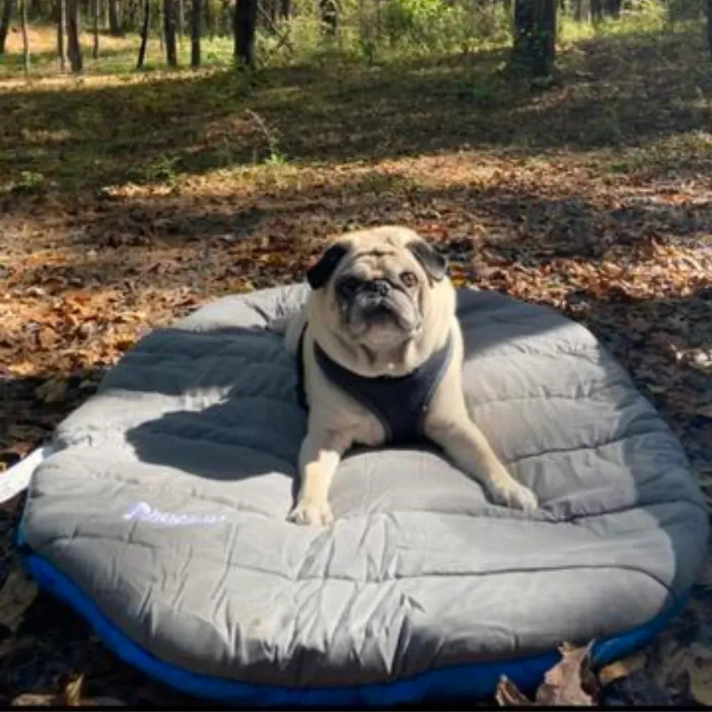 dog camping tent