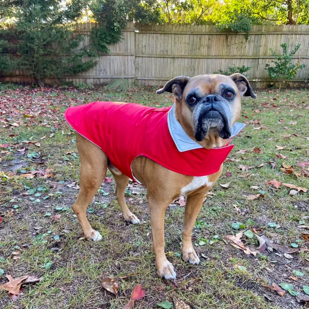 dog puffer jacket