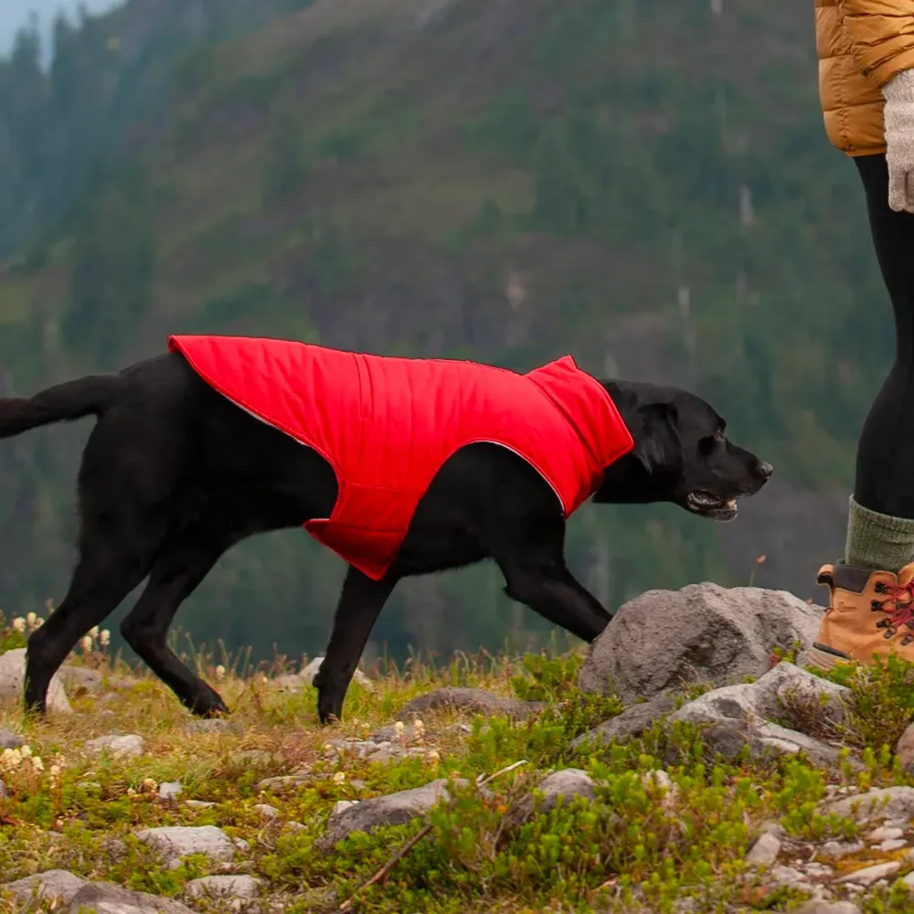 dog puffer jacket