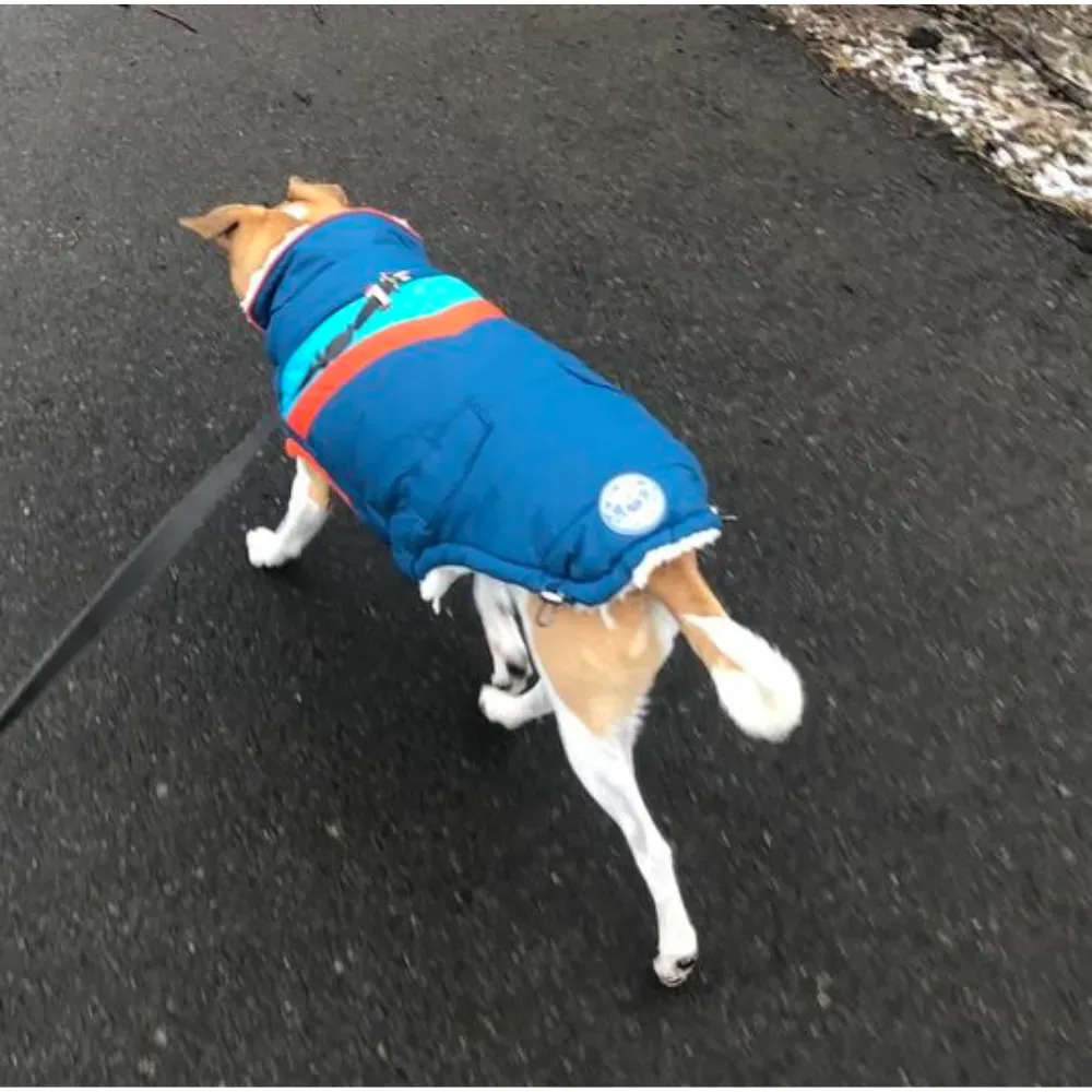 dog puffer jacket