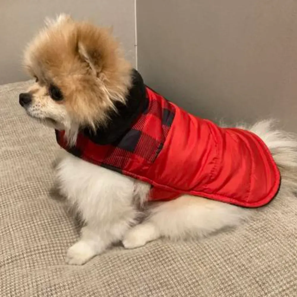 dog puffer jacket