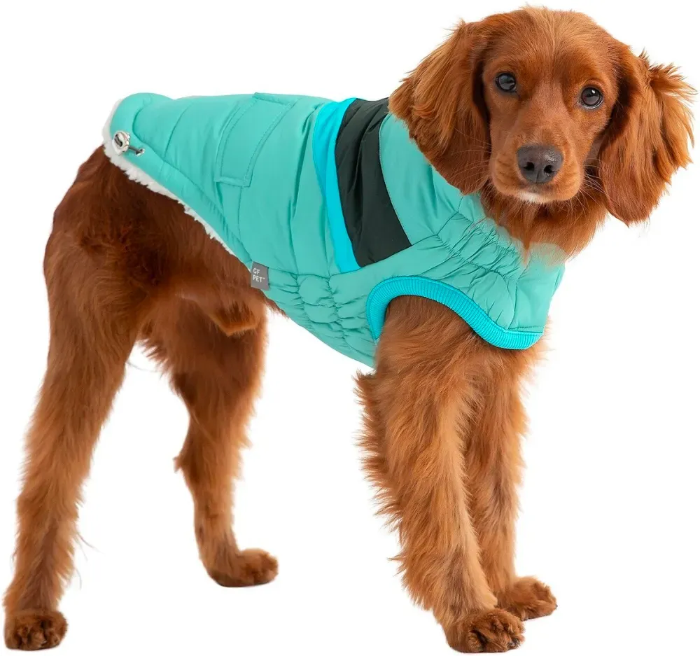 dog snowsuit