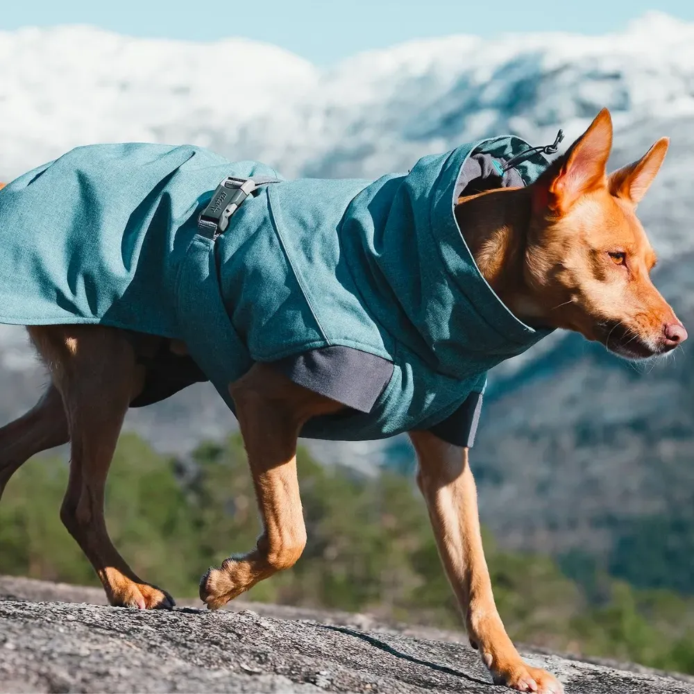 dog snowsuit