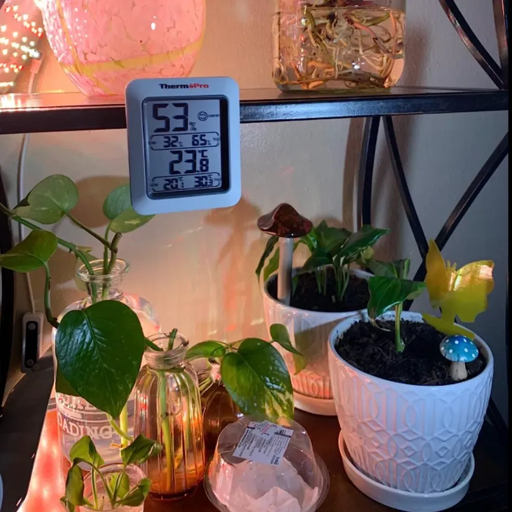 room thermometer