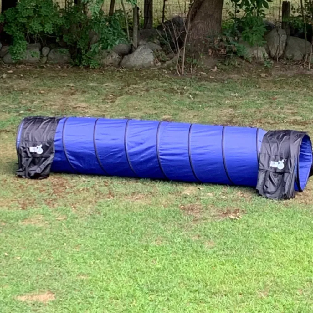 dog agility tunnel