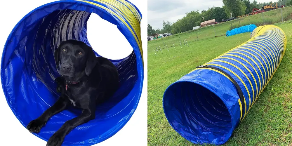 dog agility tunnel