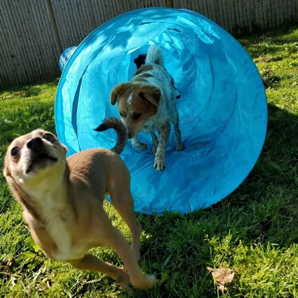 dog agility tunnel