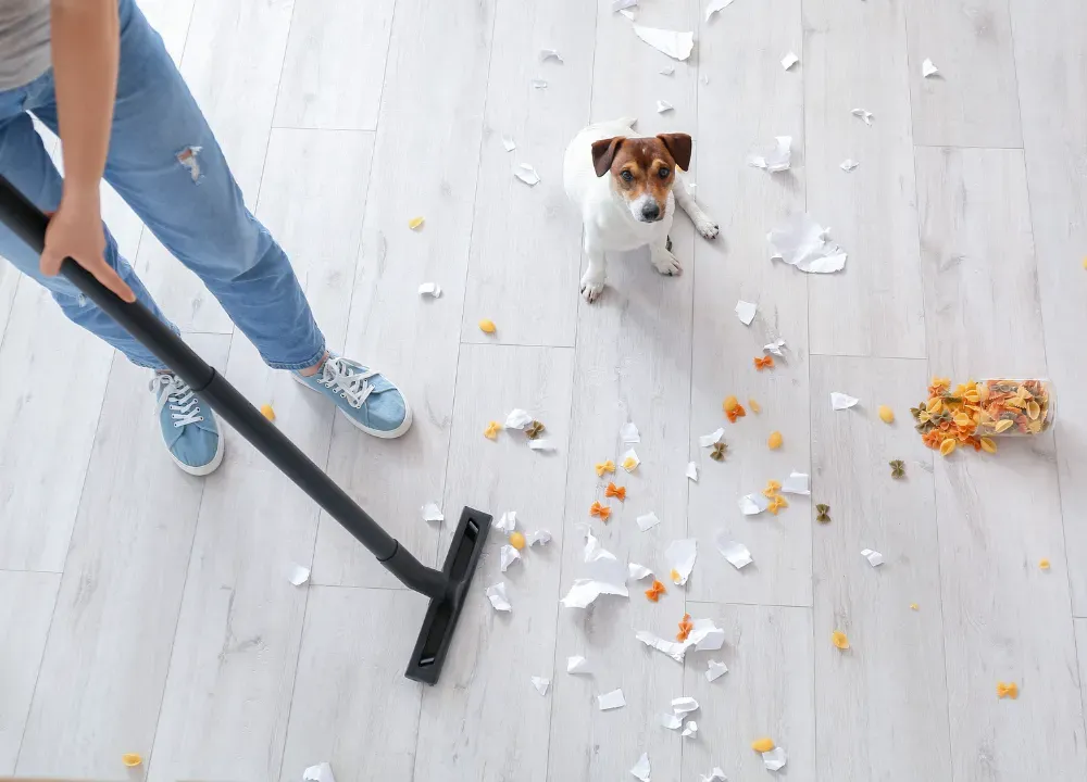 Dog Proof Trash Can