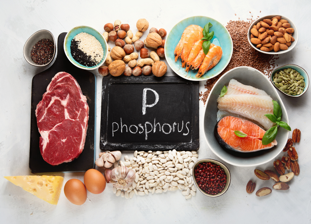 low phosphorus dog food