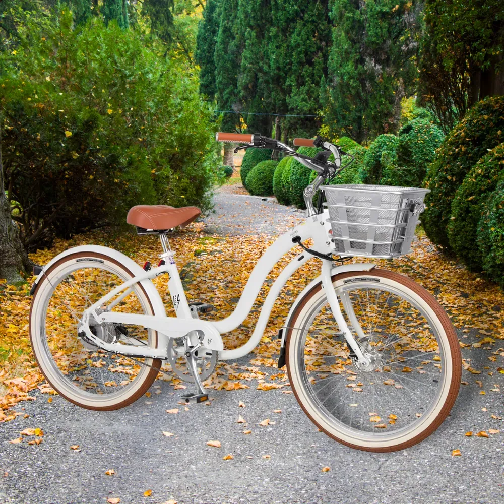 The Best Electric Bike for Seniors