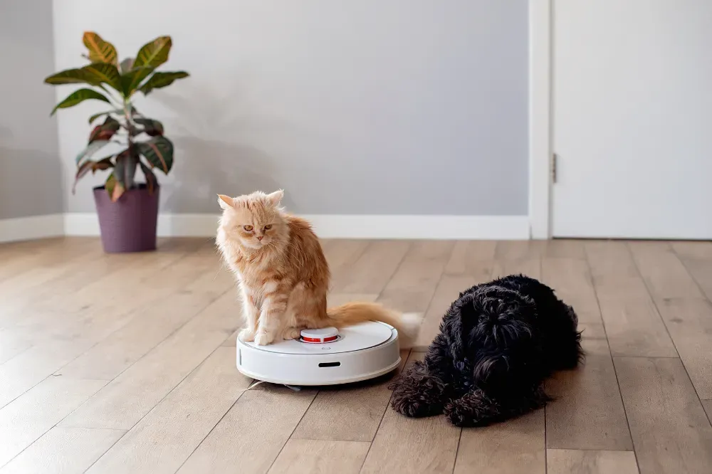 Are robot vacuums worth it