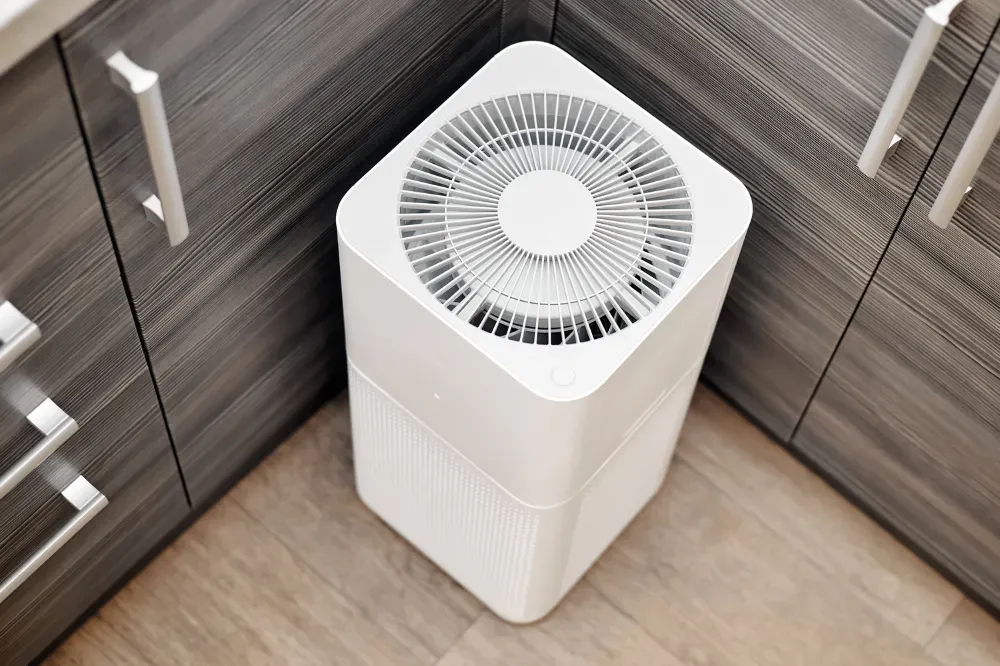 do air purifiers help with smell