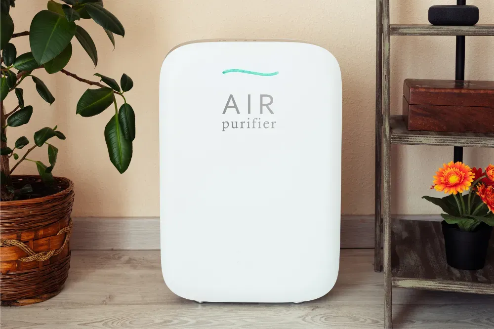 do air purifiers help with smell