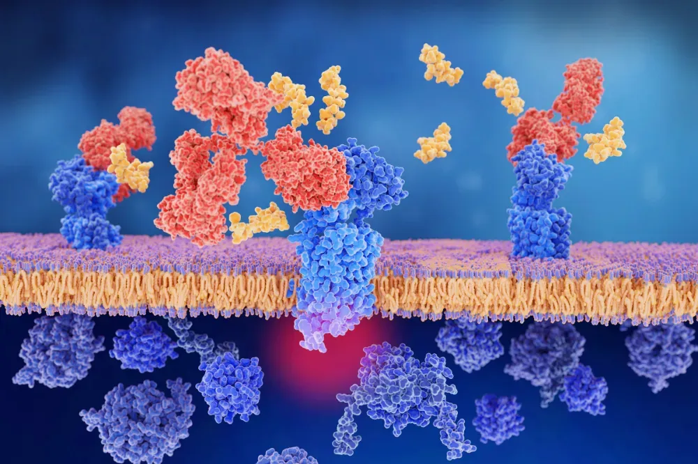 What not to mix with peptides