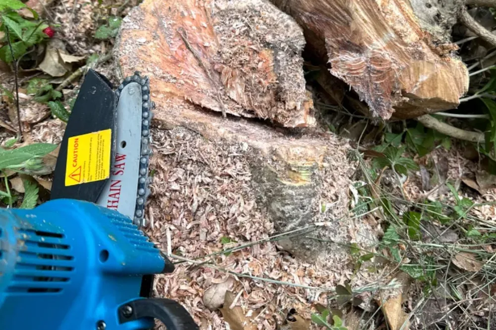 what to look for when buying a mini chainsaw